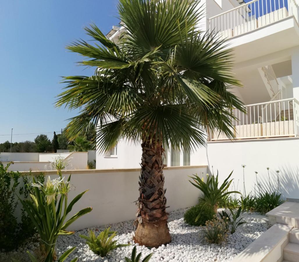 Residence Valentina Int 4 - Rooftop Sea View Infinity Pool Santa Maria al Bagno Εξωτερικό φωτογραφία