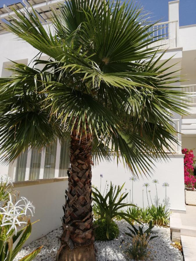Residence Valentina Int 4 - Rooftop Sea View Infinity Pool Santa Maria al Bagno Εξωτερικό φωτογραφία